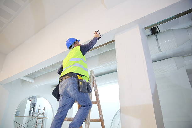 Best Mold Prevention Services  in Lazy Mountain, AK